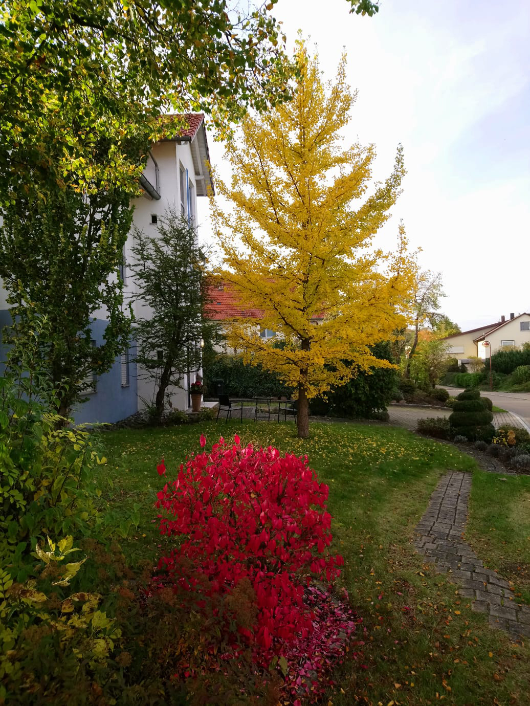 herbst